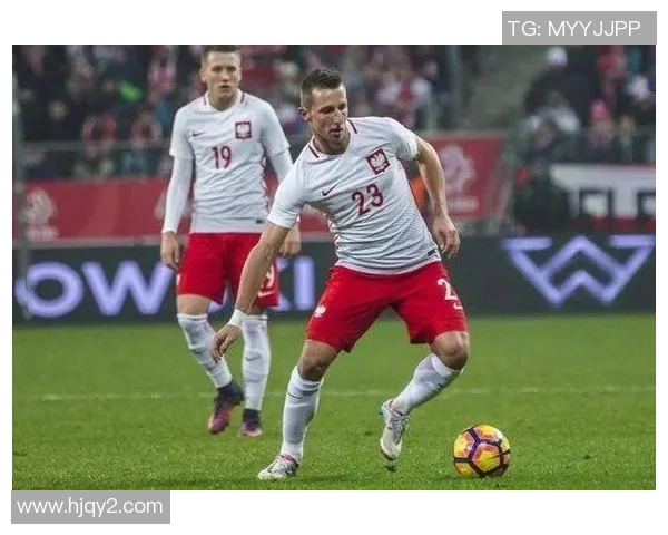 世欧预赛精彩对决丹麦队迎战波兰队争夺晋级机会